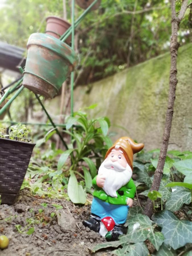 Flat In Historic Villa With Your Own Private Garden, Near City Park ブダペスト エクステリア 写真