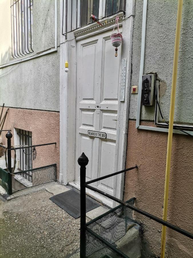 Flat In Historic Villa With Your Own Private Garden, Near City Park ブダペスト エクステリア 写真